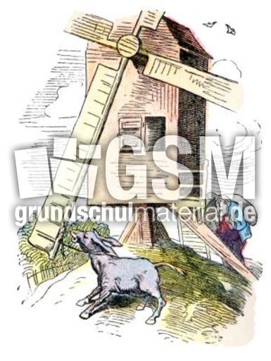 Bauer-Mueller 03.jpg